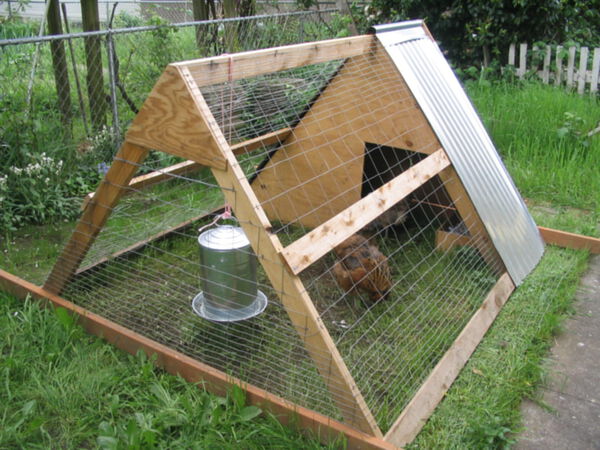 A-Frame Chicken Coup