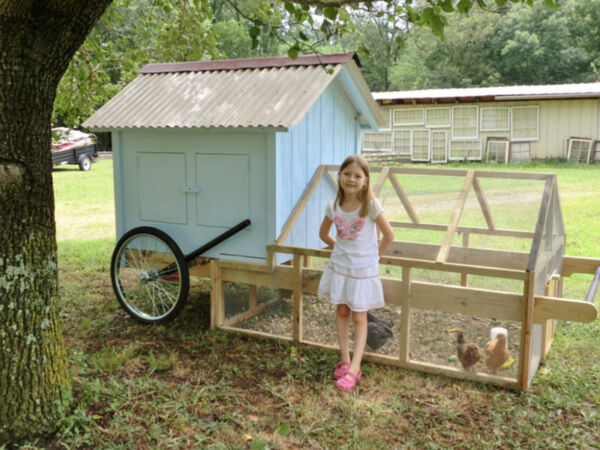 Coop And Yard Chicken Tractor