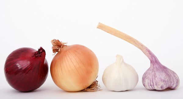 Vegetables for Dry Storage — Onion and Garlic