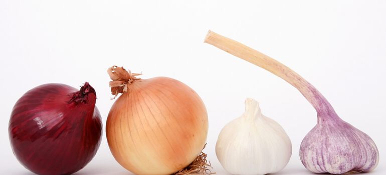 Dry Storage Foods Onion and Garlic