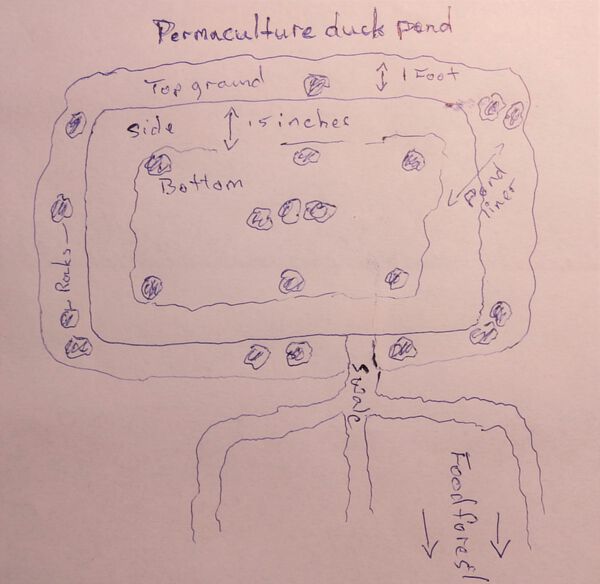 Permaculture Duck Pond Design Diagram
